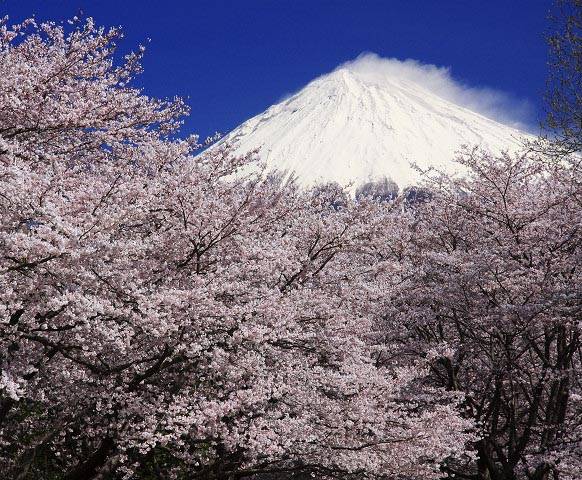 2974ce65-f1d5-49cc-898d-