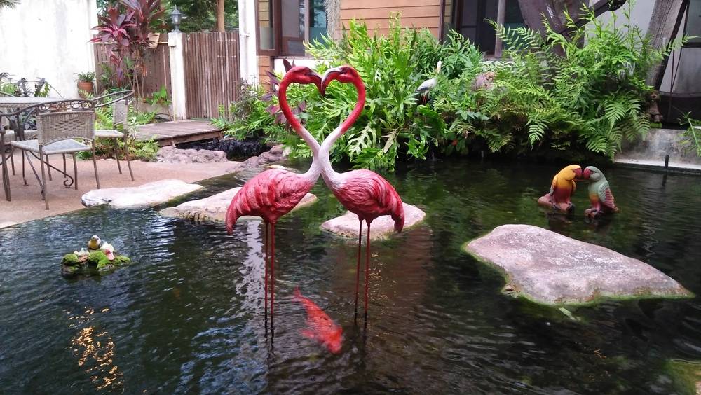 雨の日でも大丈夫！一年中快適に大人から子供まで楽しめる「富士花鳥園」 フジヤマNAVI