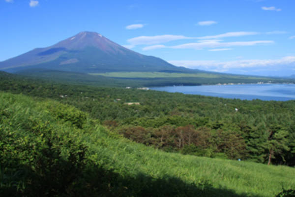 世界文化遺産への登録決定 日本の象徴 富士山 に行こう フジヤマnavi
