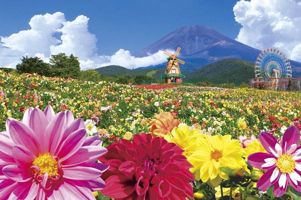 必見！ 親子で楽しめる「遊園地ぐりんぱ」＆「キャンピカ富士ぐりんぱ