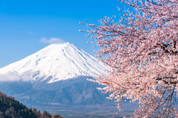 美しすぎる富士山周辺のフォトジェニックスポットをご紹介【春