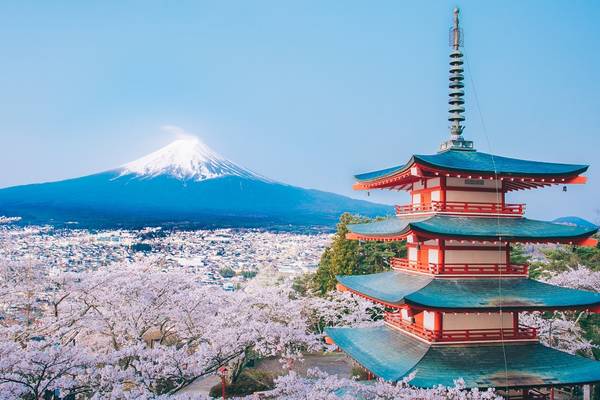 新倉山浅間公園｜富士山と桜を愛でるならここ！魅力あふれる公園をご