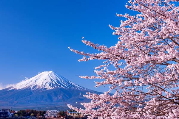 富士山の美しい風景 富士山絶景動画集】富士山を眺めて、富士山に癒されよう - フジヤマNAVI