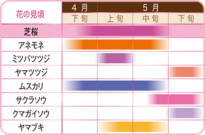 D9fbb171 b94d 4074 998f 056f5d781a1c