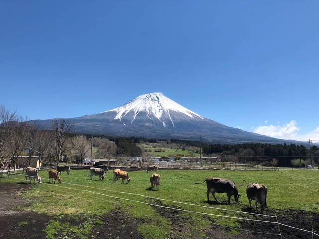 049798cd-0e66-49c8-b841-